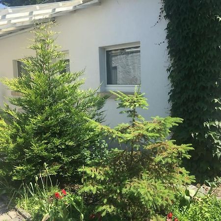 Kleines Haeuschen Am Garten In Darmstadt Exterior foto